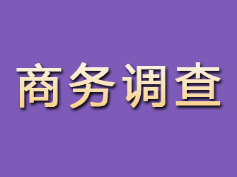 元江商务调查